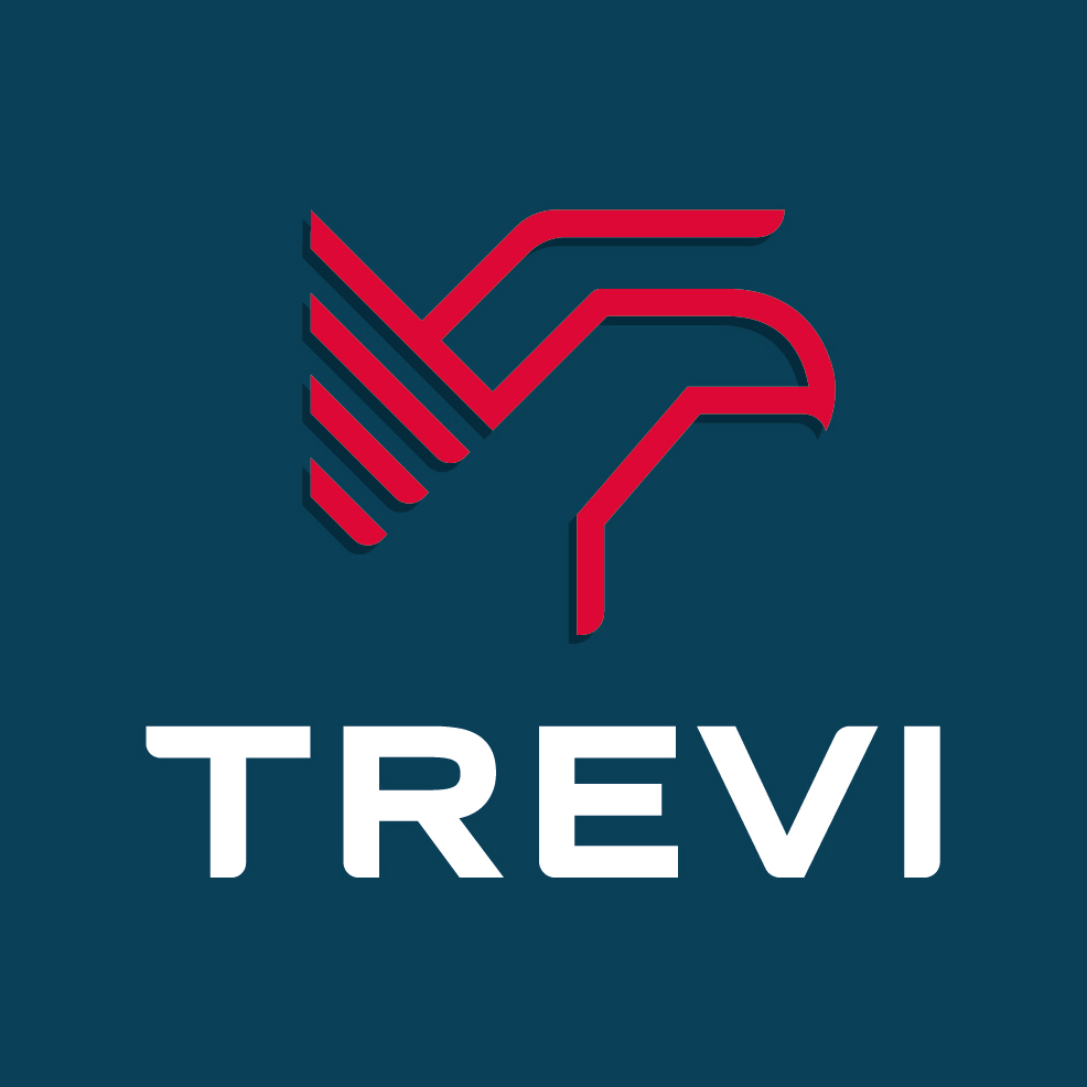 TREVI GROUP