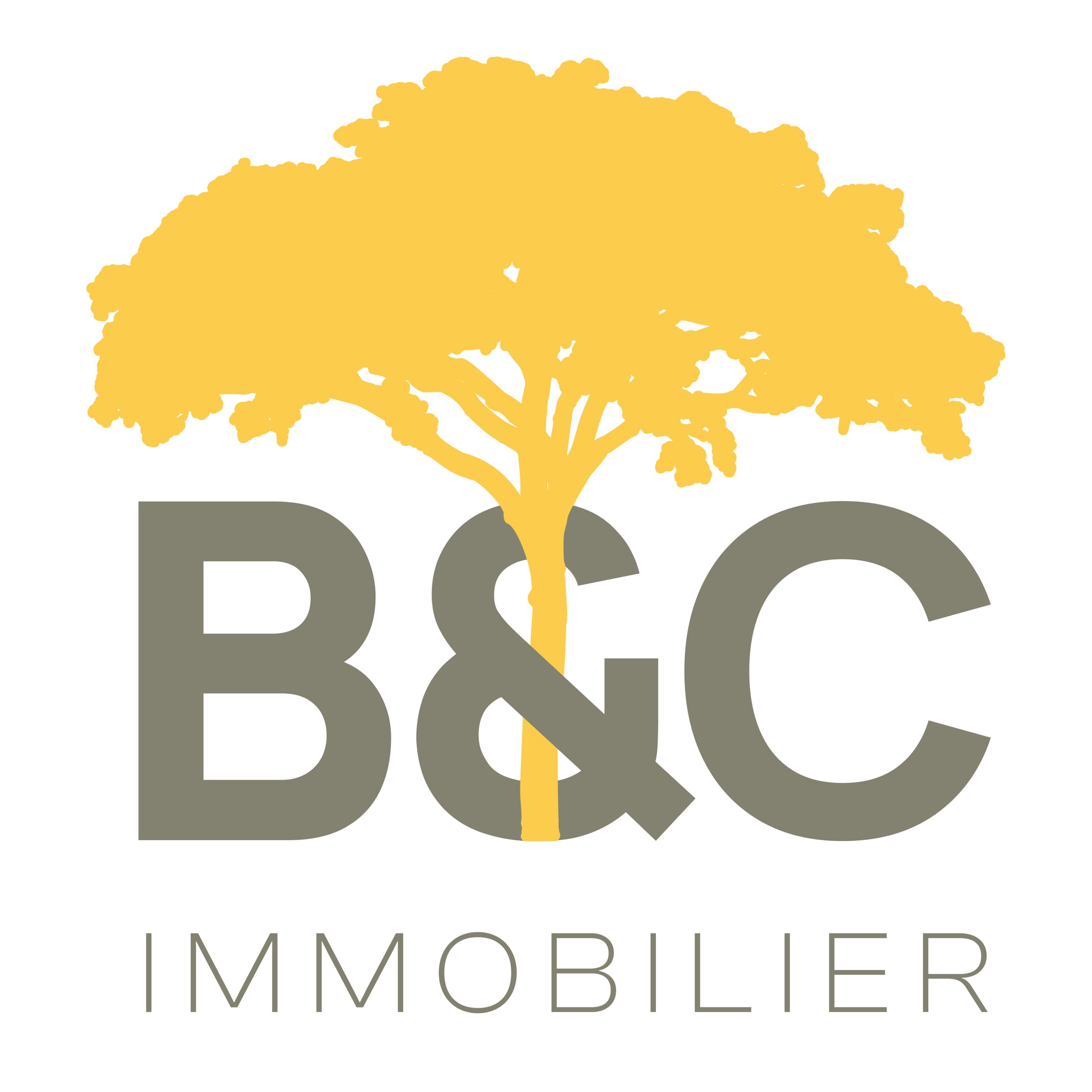 B&C Immo